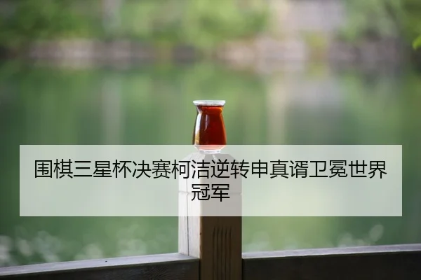 wei-qi-san-xing-bei-jue-sai-ke-jie-ni-zhuan-shen-zhen-xu-wei-mian-shi-jie-guan-jun-3-312.jpg