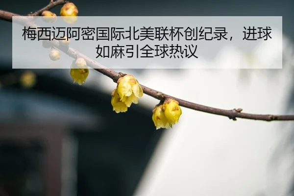 mei-xi-mai-a-mi-guo-ji-bei-mei-lian-bei-chuang-ji-lu-jin-qiu-ru-ma-yin-quan-qiu-re-yi-3-300.jpg
