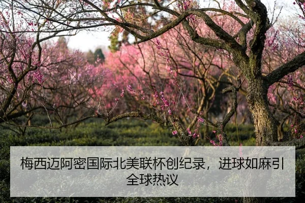 梅西迈阿密国际北美联杯创纪录，进球如麻引全球热议