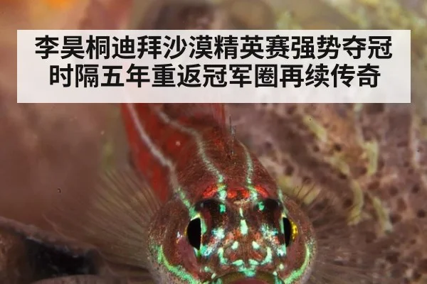 李昊桐迪拜沙漠精英赛强势夺冠时隔五年重返冠军圈再续传奇